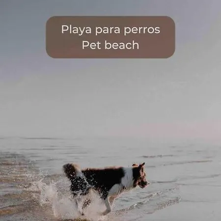 Lima Sorbet Nuevo Piscina Terraza Privada Y Wifi Lägenhet *